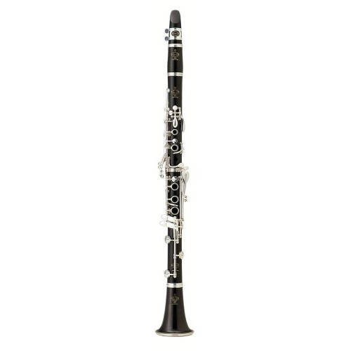 BC1131-5-0 Buffet R13 Professional Clarinet