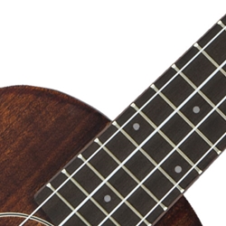 Ukulele