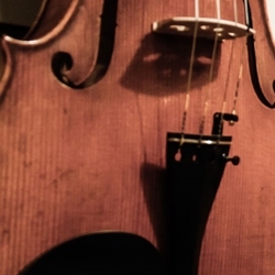 Used and Vintage Viola