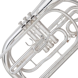 Flugel Horn