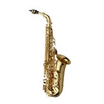 Yanagisawa AWO10 Professional Alto Saxophone