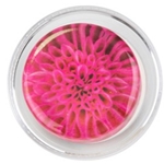 PFL-3GM Pink Blossom  Magic Rosin