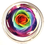 TDR-3GM Tie-Dye Rose Magic Rosin