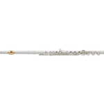 Yamaha YFL-462HY/LPGP Intermediate Flute with Gold Lip Plate