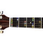 Fret Stickers