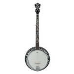 Ibanez B300 5-String Banjo with Rosewood Resonator