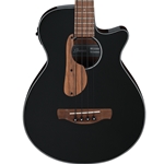Ibanez AEGB24E Acoustic Bass with Electronics, Black High Gloss