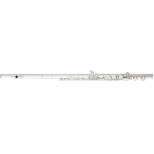 Beacock Music - Flute Rental, $16.99-$29.99 per month