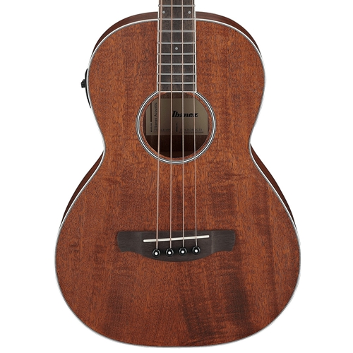Ibanez PNB14E Acoustic Bass with Electronics, Open Pore Natural