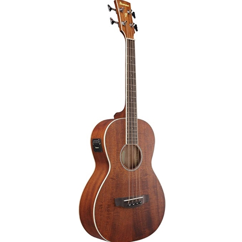 Beacock Music - Ibanez PNB14E Acoustic Bass with Electronics, Open
