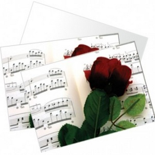 Music Gift RN04 Note Cards - Rose & Music