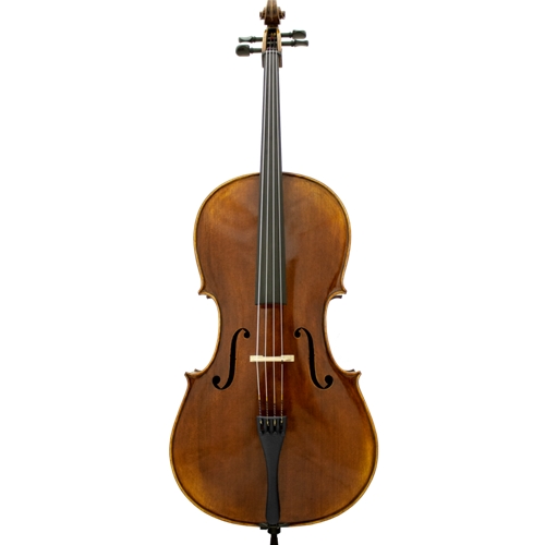 Full size cello hotsell