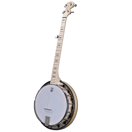Deering GS Goodtime Special 5-String W/Resonator