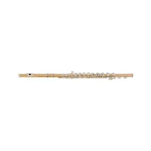 Yamaha YFL-A421BII Pro Alto Flute with Curved & Straight Headjoints