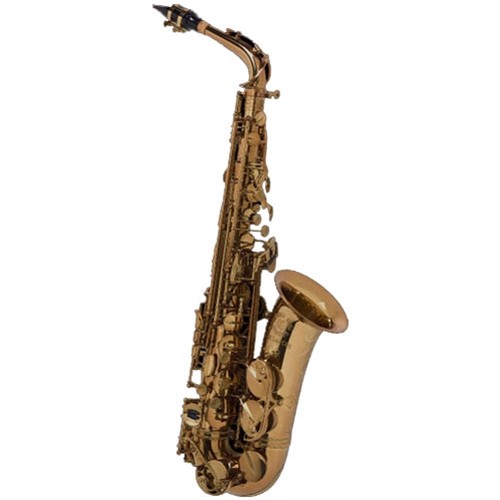 Cannonball AVR-L Vintage Reborn Pro Alto Sax