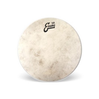 Evans Calftone Drumhead