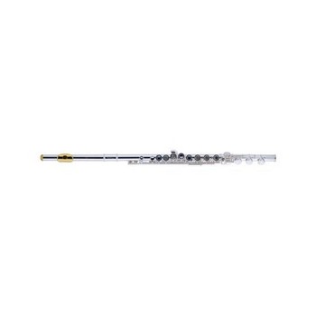 Armstrong 800BEF Flute with Gold Lip, Splie E, B Foot, Offset G