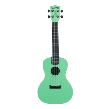 Kala Sea Foam Green Concert Recycled Waterman Ukulele