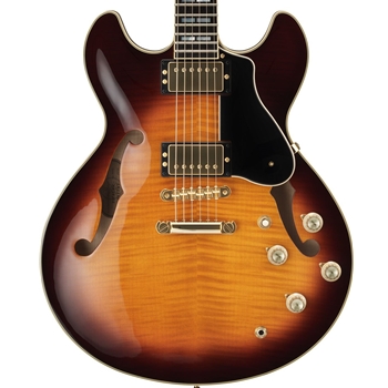Beacock Music - Yamaha SA220 Semi-Hollow Body Electric Guitar