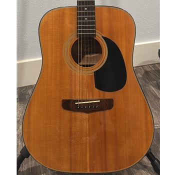 Used Fender AG15N Dreadnought Guitar
