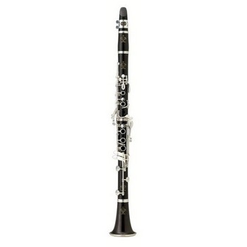 BC1131-5-0 Buffet R13 Professional Clarinet