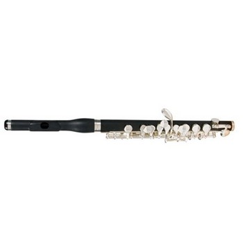 47+ Picolo Music Instrument PNG